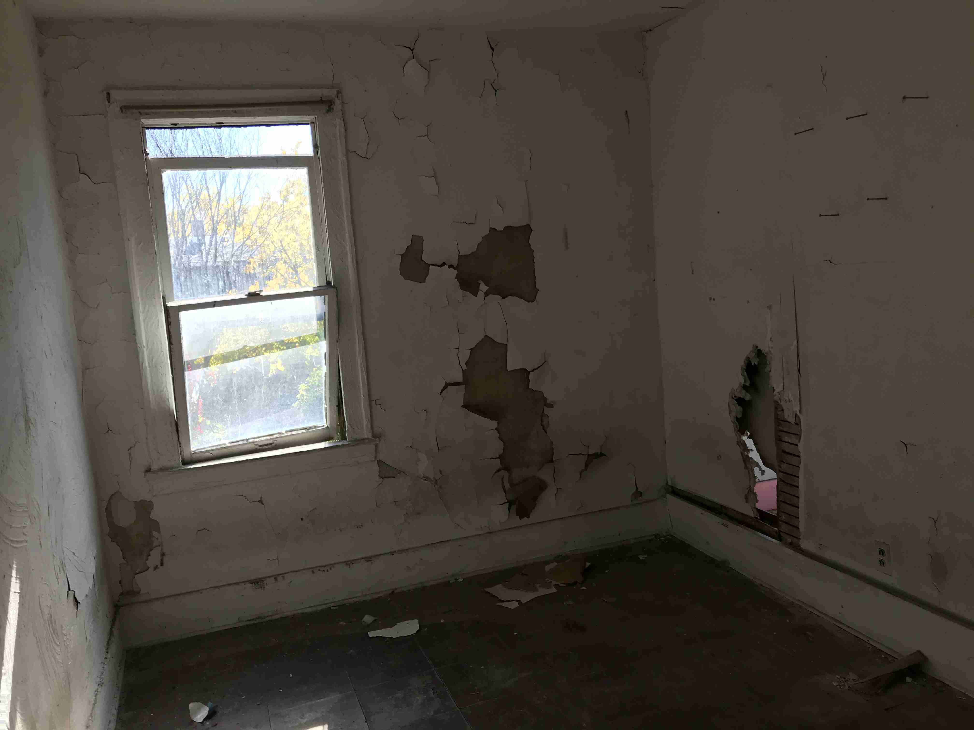 Photo Oct 13, 12 33 25 PM (1).jpg